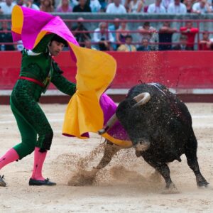 Madrid Bullfighting