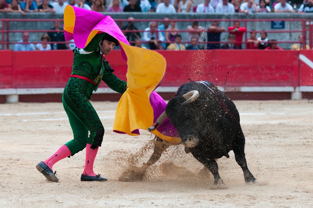 Madrid Bullfighting